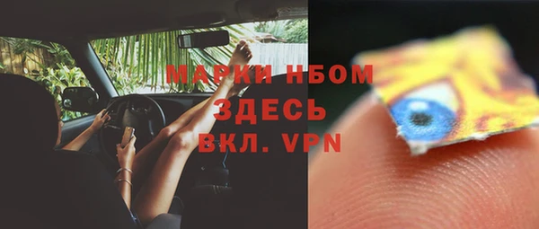 ECSTASY Костерёво
