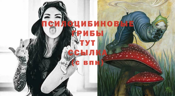 мяу мяу мука Коряжма