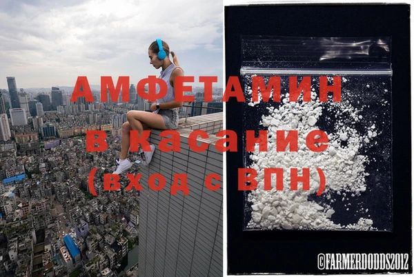 мяу мяу мука Коряжма