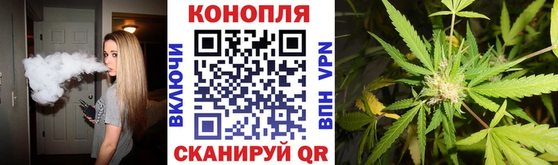 Купить где  Россошь  Канабис конопля 